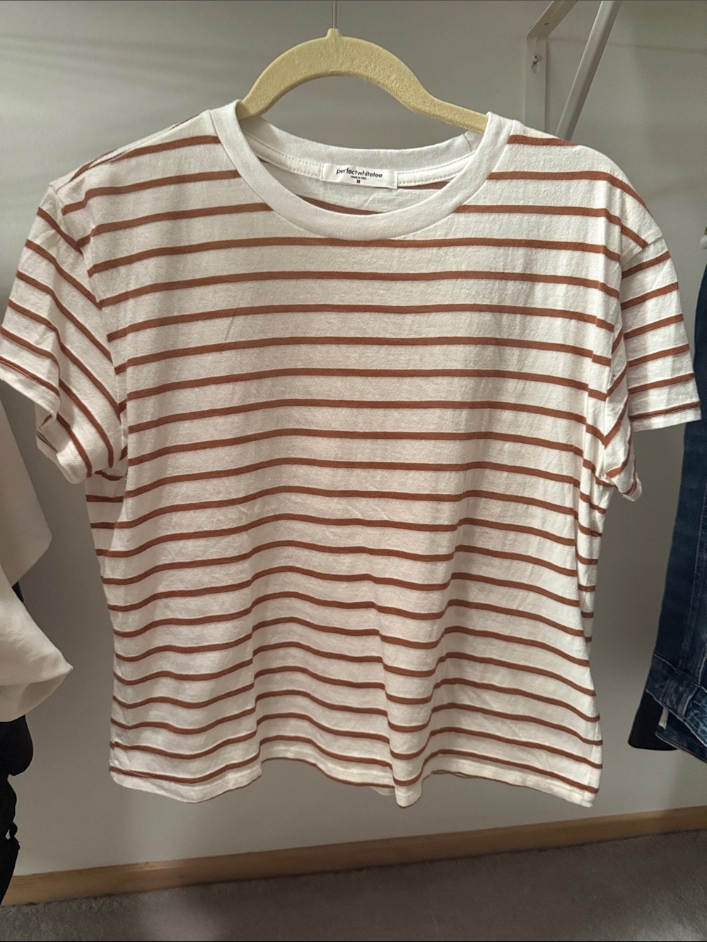perfectwhitetee White Tee with Brown Stripes